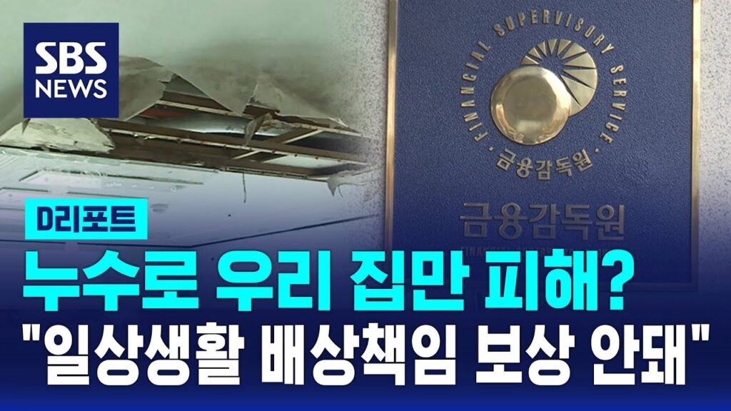 SBS 뉴스 유튜브 영상 「누수로 우리 집만 피해?…"일상생활 배상책임보험 보상 안돼" / SBS / #D리포트」 캡처