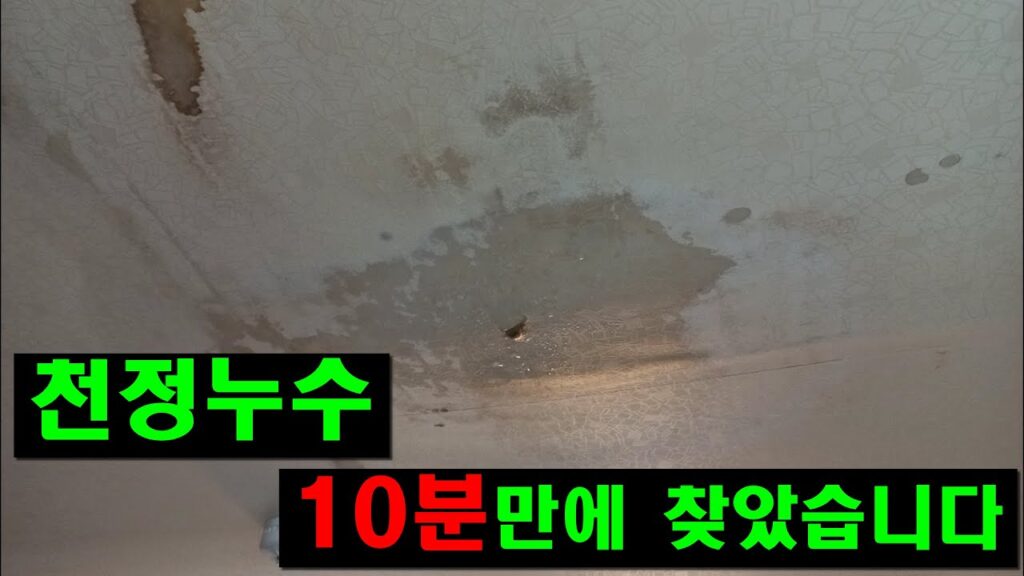 집짓는이박사 유튜브 영상 「천정누수 누수탐지 업체 찾지 말고 간단하게 천정 누수 원인 확인할 수 있는 방법 [132]」 캡처